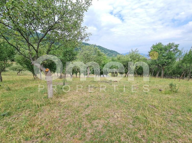 Teren de vânzare | Suprafață 10.040 mp | 2.500 € / ar | Strada Nucului - 6