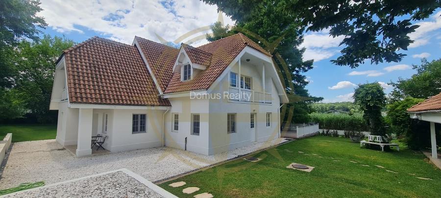 DOM00445 - Vila de poveste la lac cu ponton in Snagov - 2