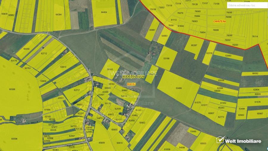 Teren 7860, intravilan, Salistea Noua, pretabil proiect imobiliar - 3