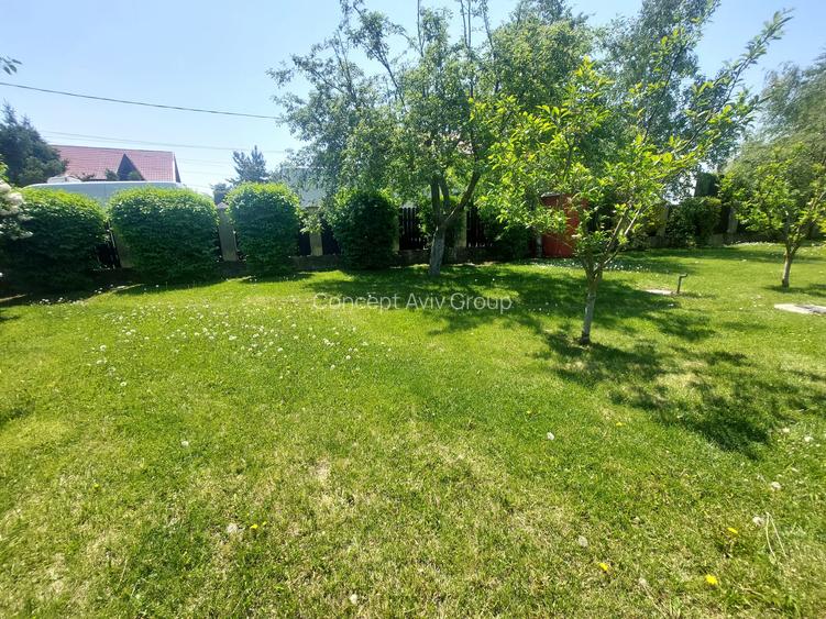 Vilă deosebită P+M în Corbeanca (Sat Ostratu) – Teren de 1.200 mp, - 11