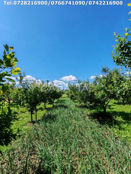 Casa situata in Samarinesti, sat Valea Bisericii - 10