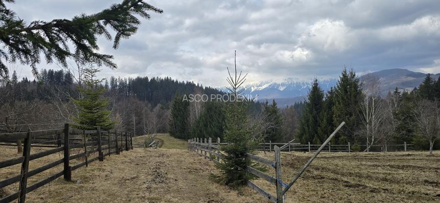 Teren intravilan construibil Brasov Bran  Poarta utilitati vedere spre munti - 9