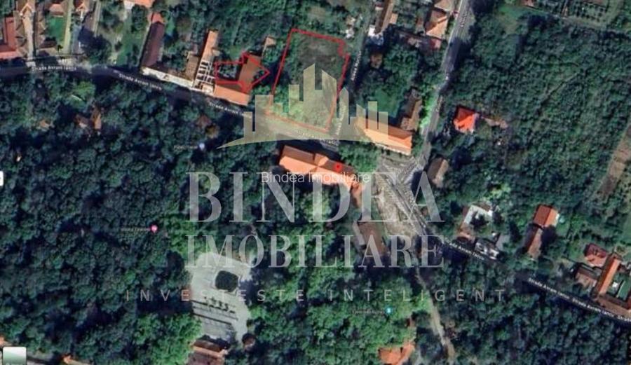 Teren intravilan CENTRAL Buzias, 2583mp - 7