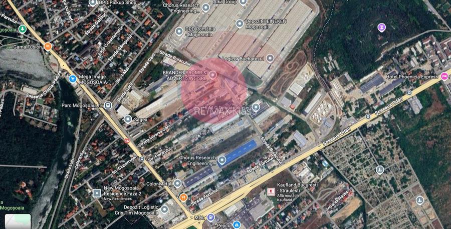 Vanzare Hala Semifinalizata sau Finalizata, Teren 4000mp, Mogosoaia - 7