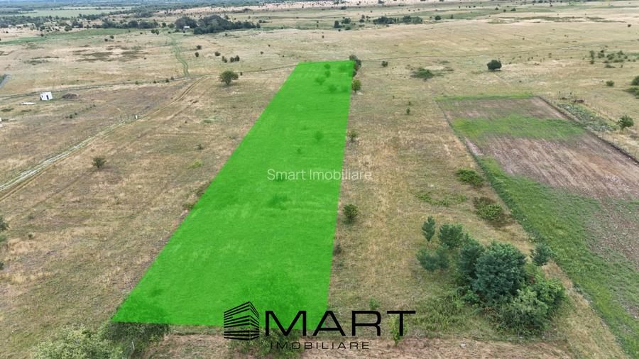 Teren intravilan 5000mp Valea Avrigului - 3