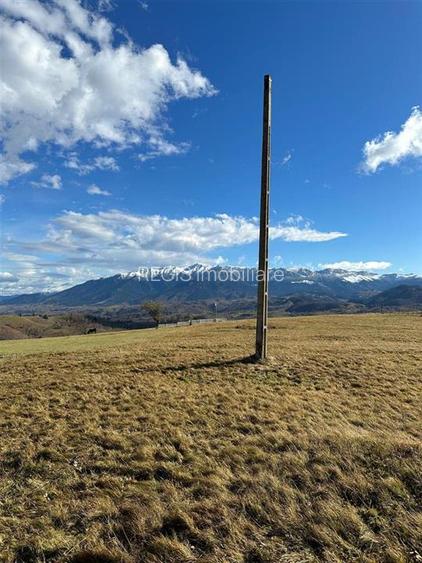 TEREN INTRAVILAN SIRNEA/ 4000 MP/ - 7