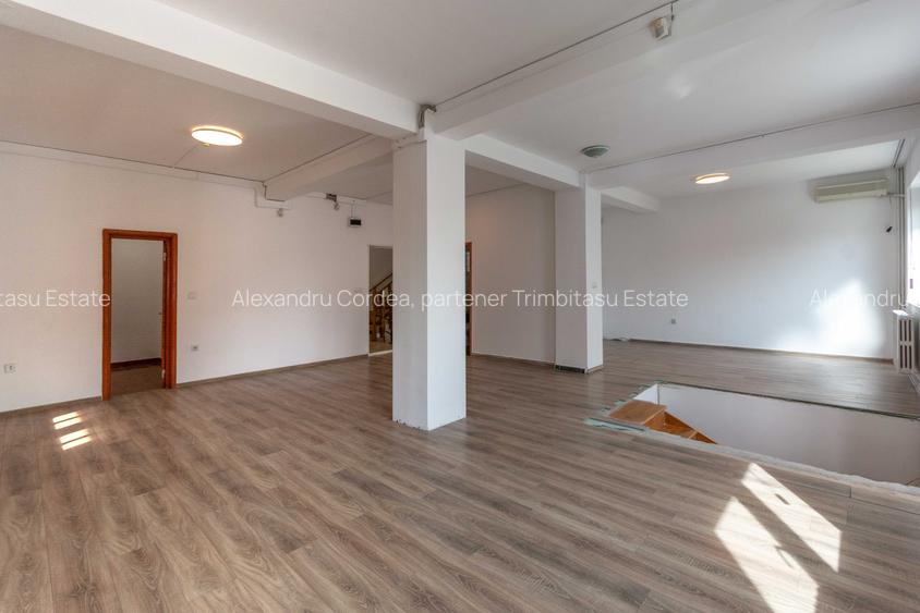 Aviatiei | Smaranda Braescu | Vila reprezentativa de inchiriat - 22