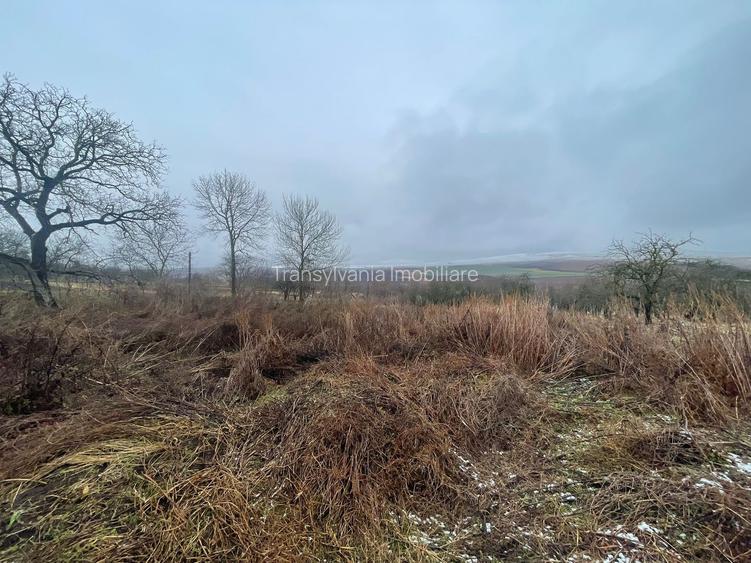 Casa Demolabila | Rediu | Teren 3278 mp | Posibiliate parcelare - 6