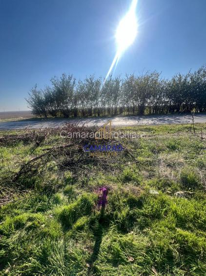 Teren de vanzare- deschidere DN4 138 m  -  Budesti, sat Gruiu - Calarasi - 6