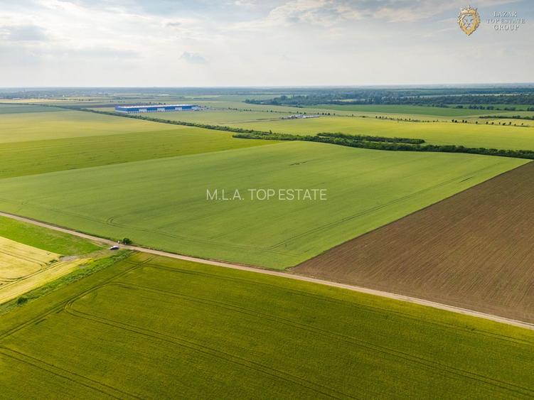 Teren Extravilan Arad de vanzare - 10