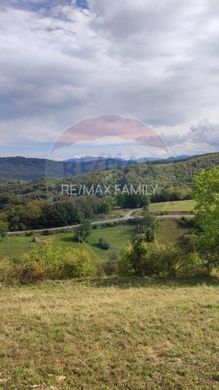 Teren constructii si faneata/livada 3082 mp Damis Bratca drum DJ 764D - 18