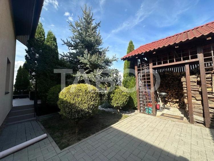 Liniste Spatiu Ritm - 4