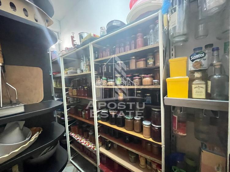 Casa individuala cu spatii comerciale - Zona Parneava spre Alfa - 31