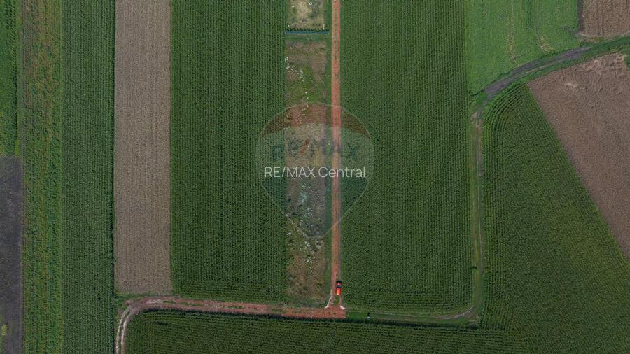 Teren de 1100 mp de vânzare în Stupini - 5