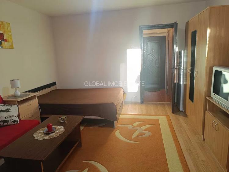 Inchiriere Garsoniera Zona Centrala Park Lake Mall Dristor - 4