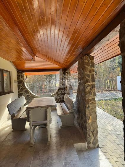 Pensiune/ Vila Valea Avrigului - 7