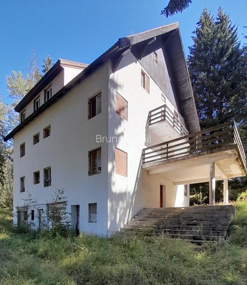 Pensiune in stilul arhitectural al cabanelor austriece, 5000 mp, teren - 2