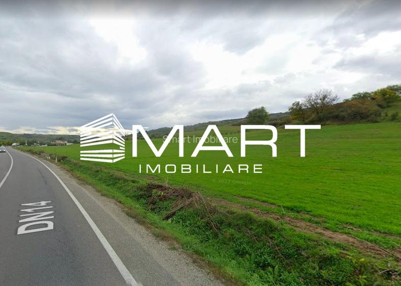 Teren extravilan 42000MP Seica Mare - Sibiu - 2