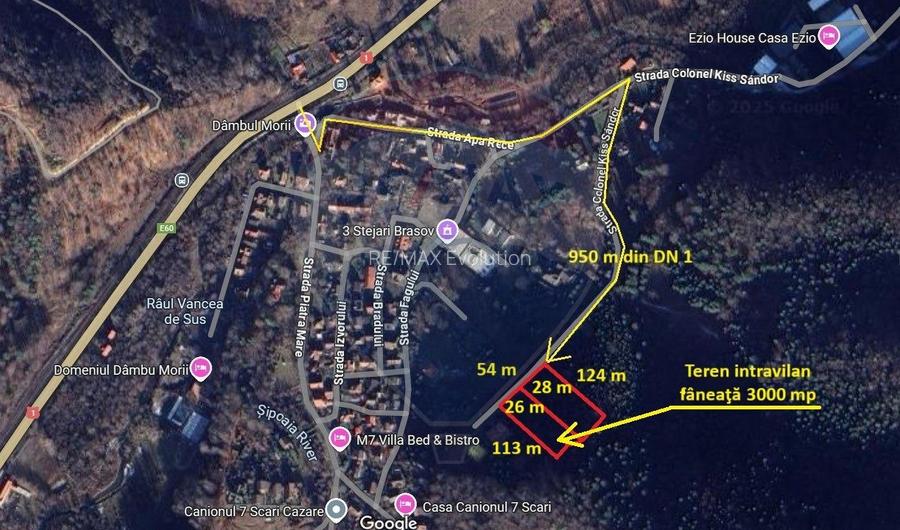 Teren intravilan, 3000 mp, Dâmbu Morii - 4