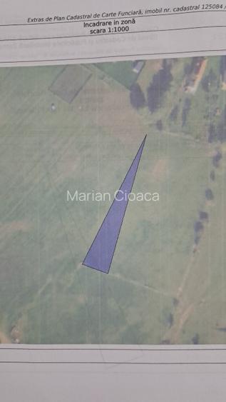 Teren intravilan de vânzare la munte ! - 2