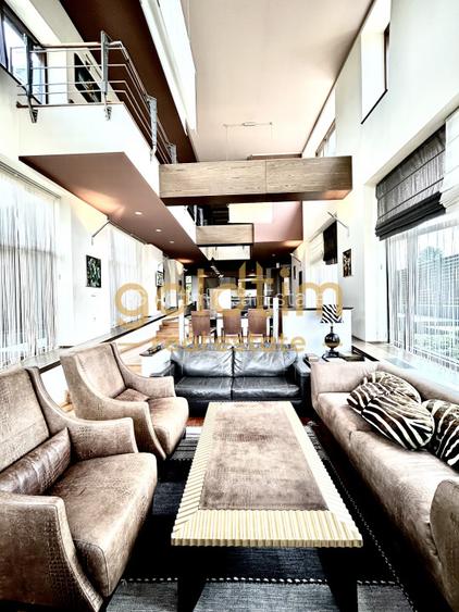 VILA SUPERBA+CASA OASPETI/PISCINA/IESIRE LAC-PONTON/DEBARCADER/GARAJ/SERA/SNAGOV - 8