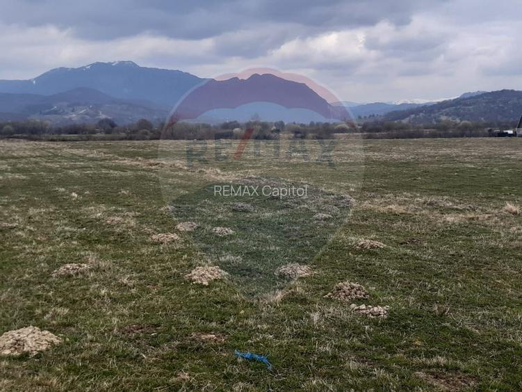 Teren 10,000mp Rasnov / Drumul Panicel - 9