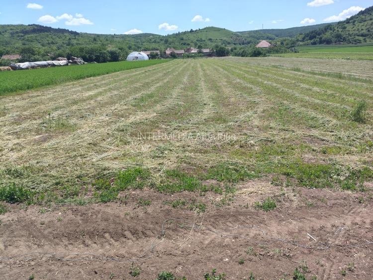 TEREN Intravilan in suprafata de 3024 mp, cu deschidere la drum de 18 m - 4