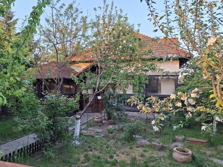Casa Individuala Comuna Berceni, 4 camere, 2 bai, 3 min de Lidl, Mega, Penny - 16