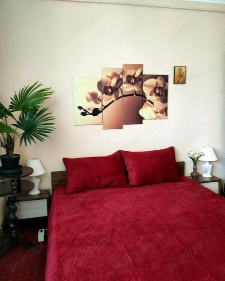 Apartament cu 2 camere, etajul 4/4, zona Podu Ros - 4