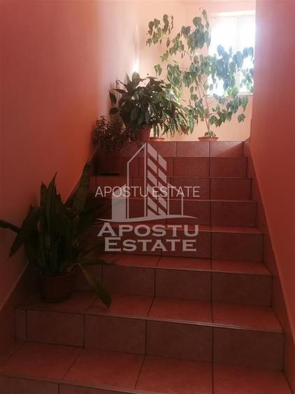 Casa individuala in  Cartier Plopi - 7