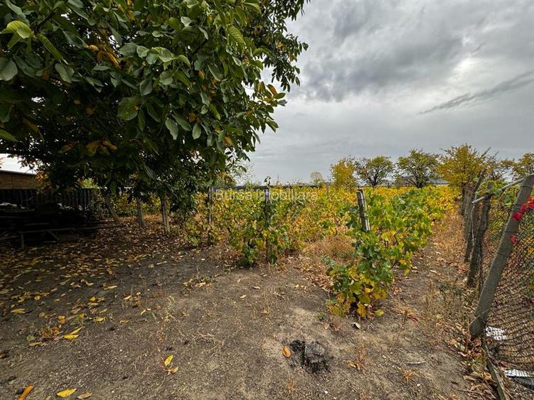 CASA DE VANZARE ODOBESTI (ZONA DE VILE) - 6