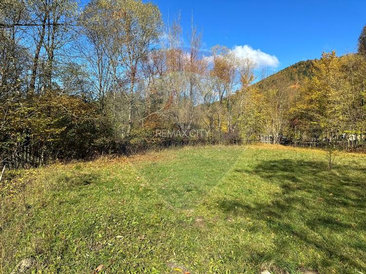 Teren de vanzare Cuiejdel 1350 mp - 6