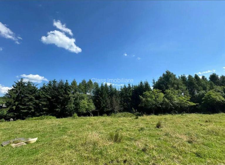 Teren intravilan de 5.755 mp în Doboeș, Sighetu Marmației - 2