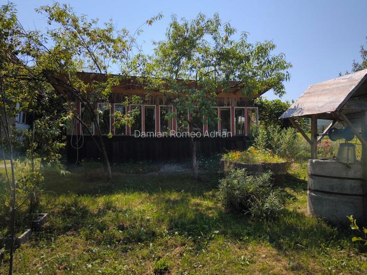 Gradina de vanzare cu constructii pe teren. - 10