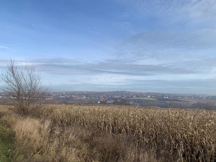 Teren intravilan de vânzare | Cajvana | 7.800 mp - 9