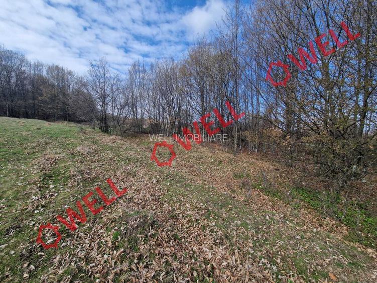 De vânzare teren extravilan în localitatea Brădet! - 9