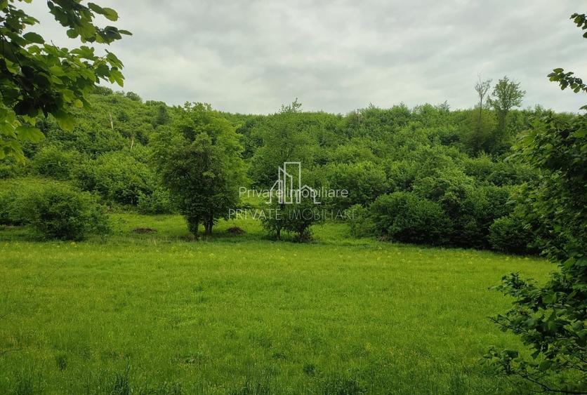 Teren de vanzare, 20.000Mp , Comuna Danes, drumul Crisului - 2