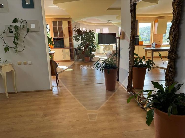 Închiriez casă individuală, 4 dormitoare, zona Borhanciului - 12