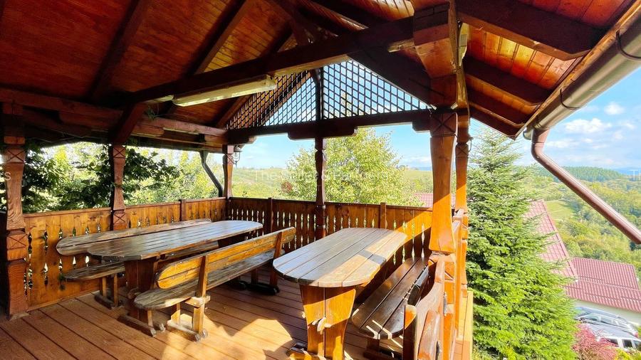 Complex de 3 case pe 18000 mp teren - 54