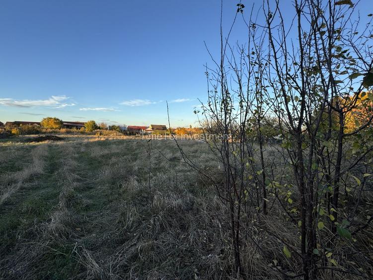 Teren Intravilan in Zona Semicentrala, Becicherecu Mic,2118 mp,Fs. 18m - 3