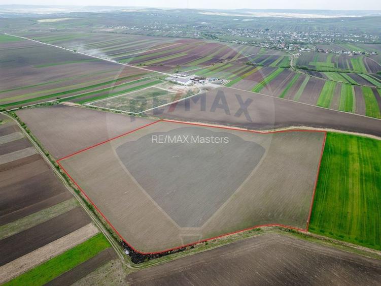 Teren 86,000mp Suceava / DN 17 - 5