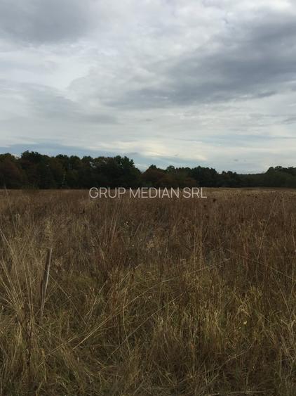 Teren 2250 mp Budesti, extravilan - 5