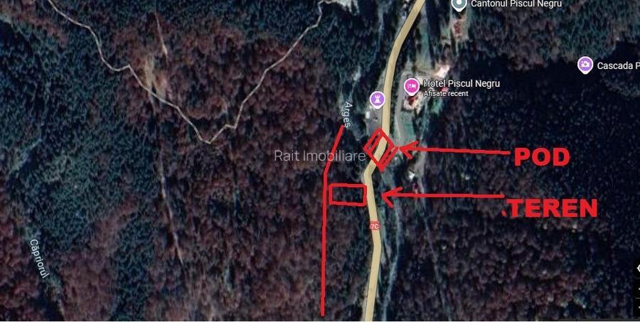 TEREN EXTRAVILAN PADURE PISCUL NEGRU ARGES - 10