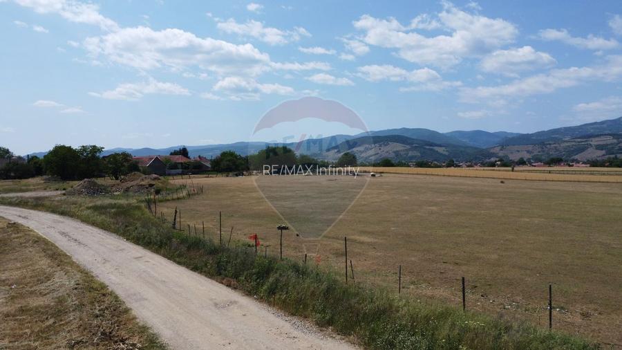 Teren industrial 5.000 mp Vintu de Jos – amplasament strategic - 13