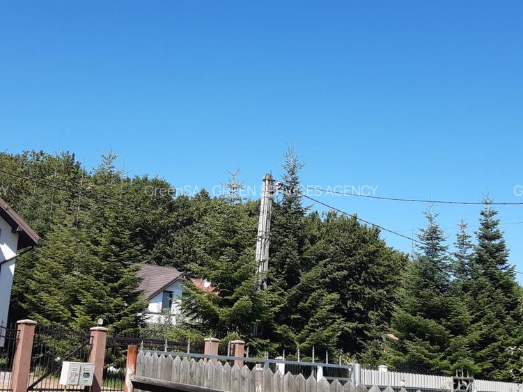 OPORTUNITATE: 4.400 mp la marginea PADURII, langa VILE NOI, toate UTILITATILE - 2