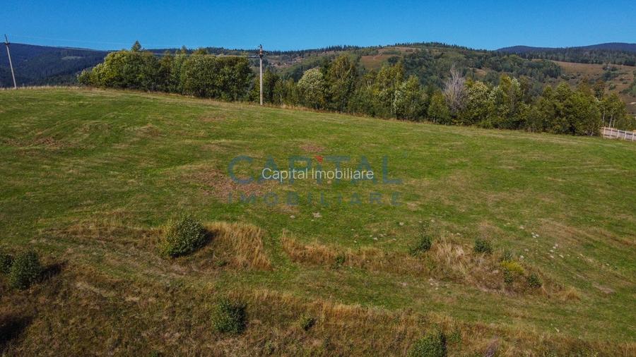 Comision 0% teren intravilan 1000 mp, PUZ, priveliste, Baisoara - 7