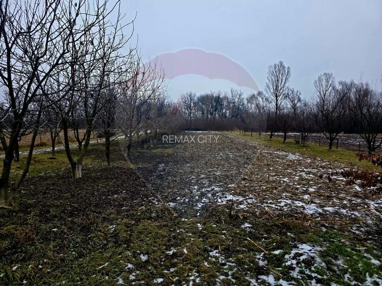 Teren intravilan 4,516mp Doina - 2