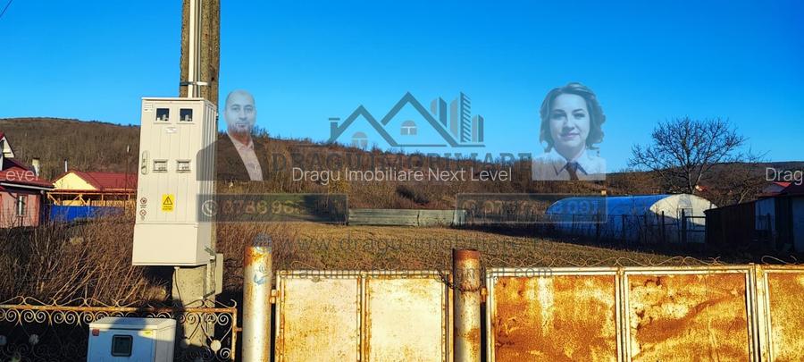 Teren intravilan 3129 mp | Deschidere 28 ml / Lespezi – Homoc - 5