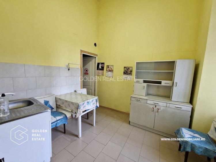 Apartament o camera, 70 mp, ultracentral, cladirea Catedralei Catolice - 6