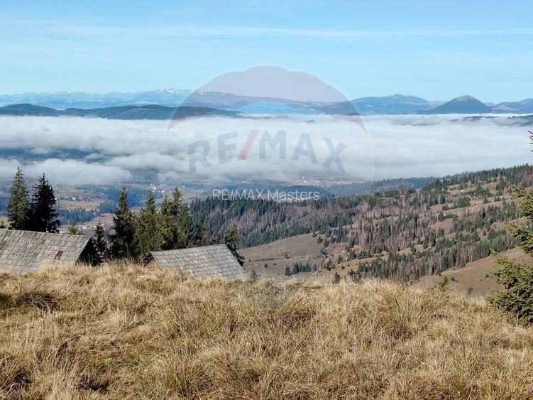 Teren 31,461mp Panaci / Prelungirea Ialovita - 11